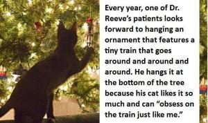 Cat and Christmas Tree