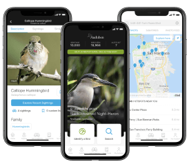 Audubon App