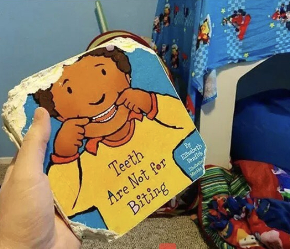 Teeth Are Not for Biting this book