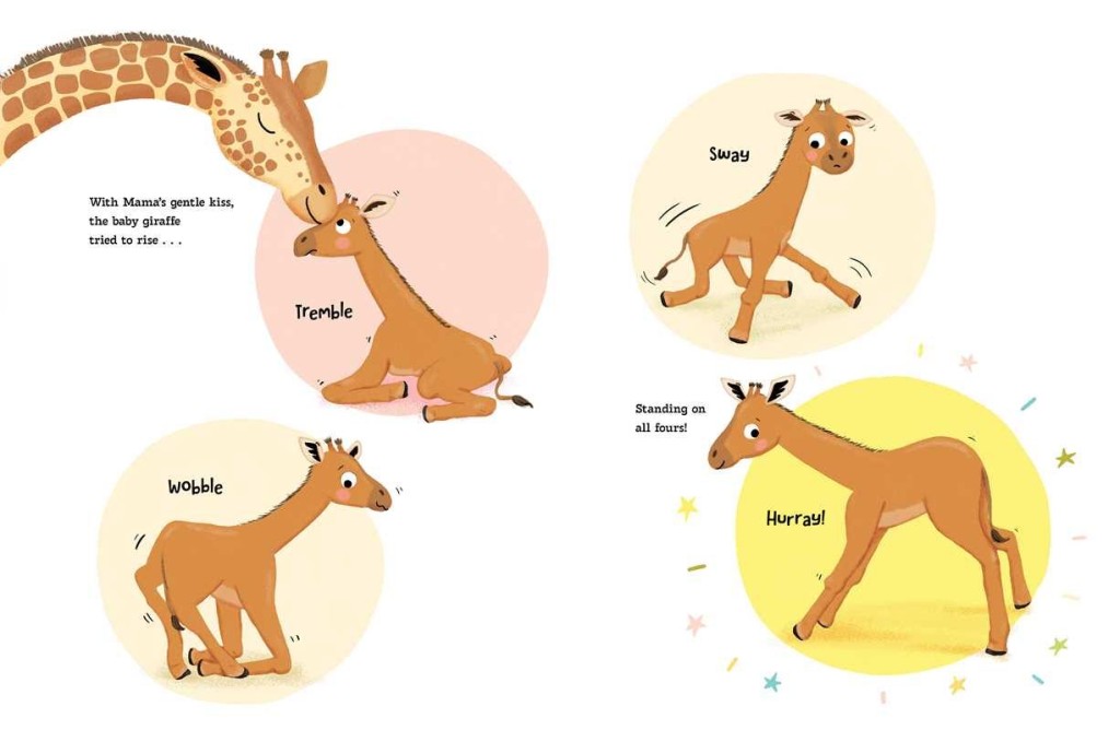 Not a Spot to Spot slide - 03