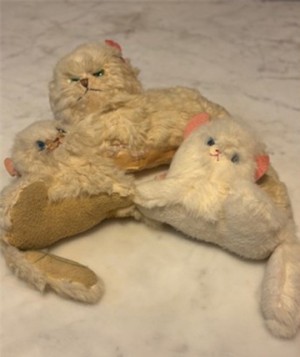 Three "white" kitties